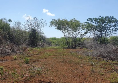 Terrain agricole - 4221 m²