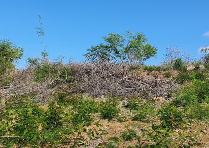 Terrain agricole - 4221 m²