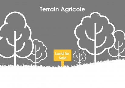 Terrain agricole - 4650 m²