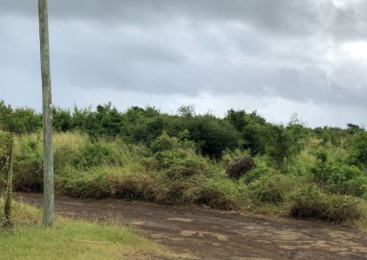Terrain agricole - 5048 m²