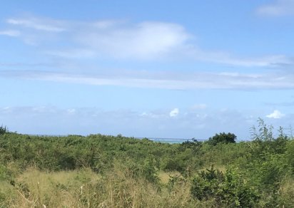 Terrain agricole - 5048 m²