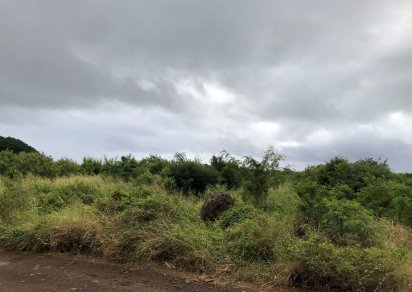 Terrain agricole - 5048 m²