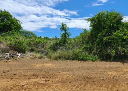 Terrain agricole - 5408 m²