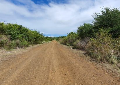Terrain agricole - 5408 m²