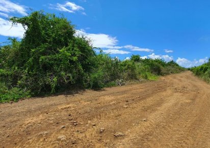 Terrain agricole - 5408 m²
