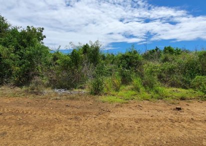 Terrain agricole - 5408 m²