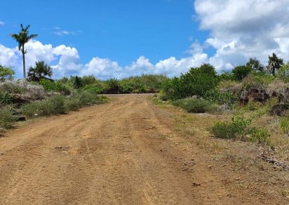 Terrain agricole - 5408 m²