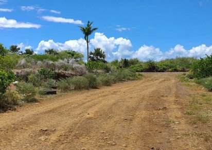 Terrain agricole - 5408 m²