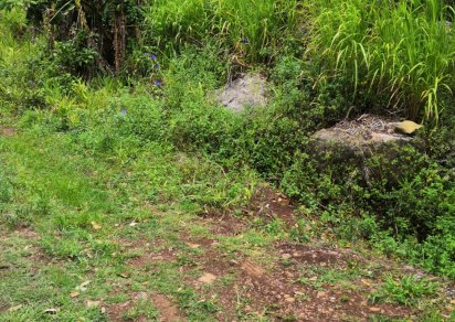 Terrain agricole - 5 636.55 m²