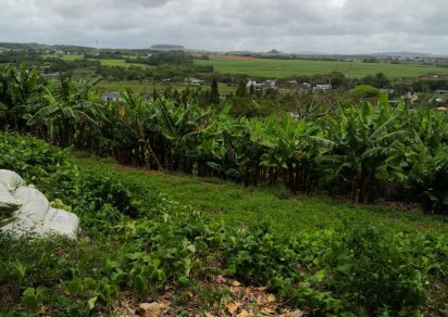 Terrain agricole - 5 636.55 m²