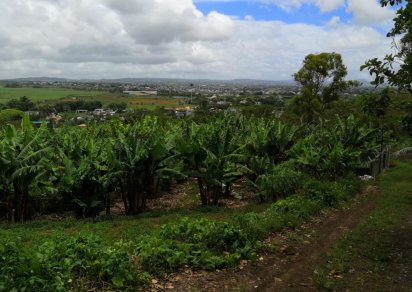 Terrain agricole - 5 636.55 m²