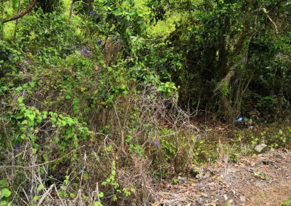 Terrain agricole - 5 636.55 m²