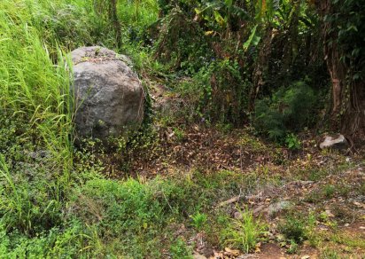 Terrain agricole - 5 636.55 m²