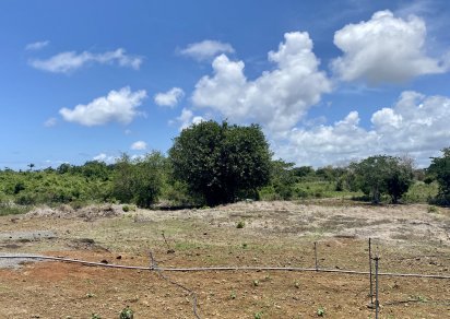 Terrain agricole - 6234 m²