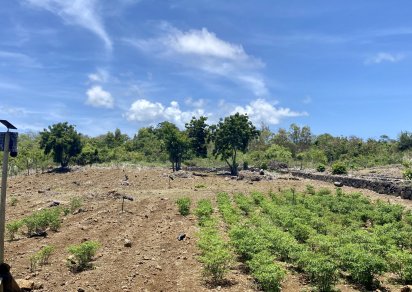 Terrain agricole - 6234 m²