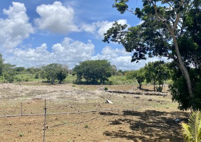 Terrain agricole - 6234 m²