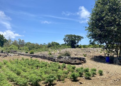 Terrain agricole - 6234 m²