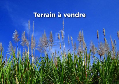 Terrain agricole - 7411 m²