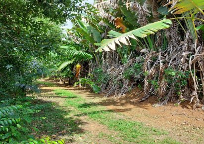 Terrain agricole - 7789 m²