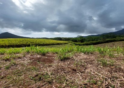 Terrain agricole - 7789 m²