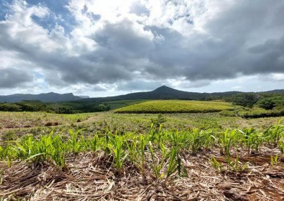 Terrain agricole - 7789 m²