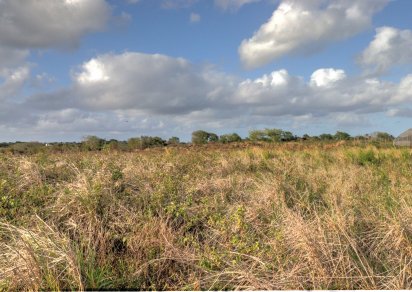 Terrain agricole - 9419 m²