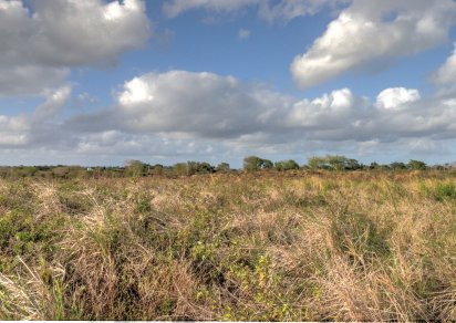 Terrain agricole - 9419 m²