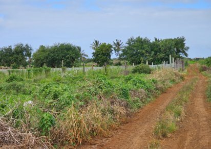 Terrain agricole - 9730 m²