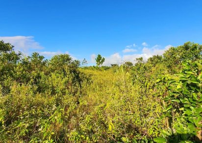 Terrain commercial - 2604 m²