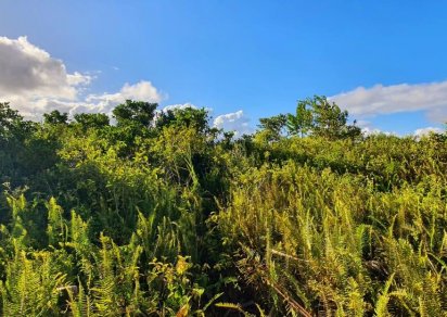Terrain commercial - 2604 m²