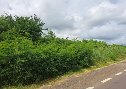 Terrain commercial - 6536 m²