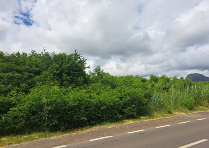 Terrain commercial - 6536 m²