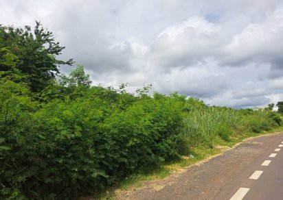 Terrain commercial - 6536 m²