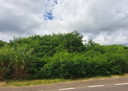 Terrain commercial - 6536 m²