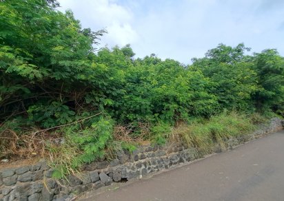 Terrain commercial - 6536 m²
