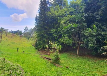 Terrain commercial - 8984 m²