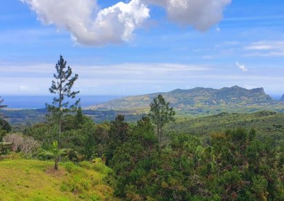 Terrain commercial - 8984 m²