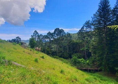 Terrain commercial - 8984 m²