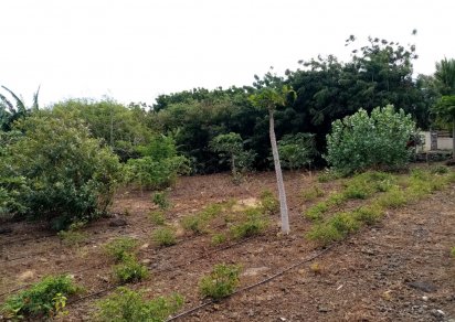 Terrain résidentiel - 1022 m²