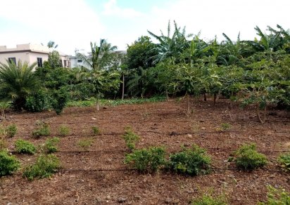 Terrain résidentiel - 1022 m²