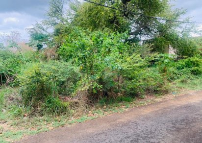 Terrain résidentiel - 1055 m²