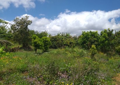 Terrain résidentiel - 1266 m²