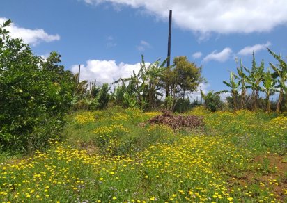 Terrain résidentiel - 1266 m²