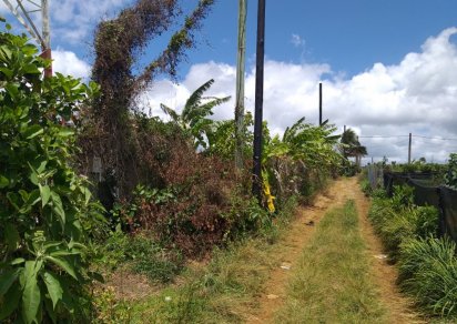 Terrain résidentiel - 1266 m²