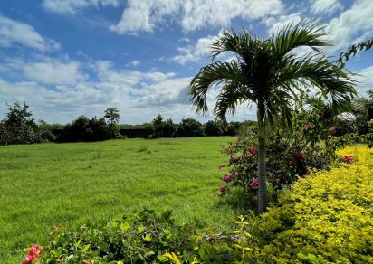 Terrain résidentiel - 1498 m²
