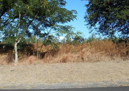 Terrain résidentiel - 1539 m²