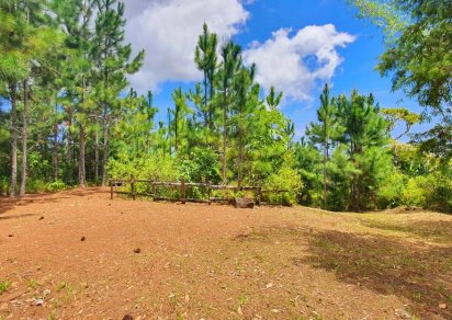Terrain résidentiel - 16885 m²