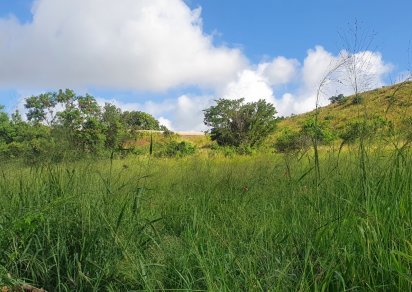 Terrain résidentiel - 2211 m²