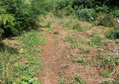 Terrain résidentiel - 316 m²
