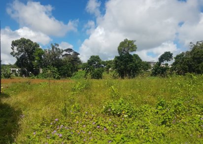 Terrain résidentiel - 438.97 m²
